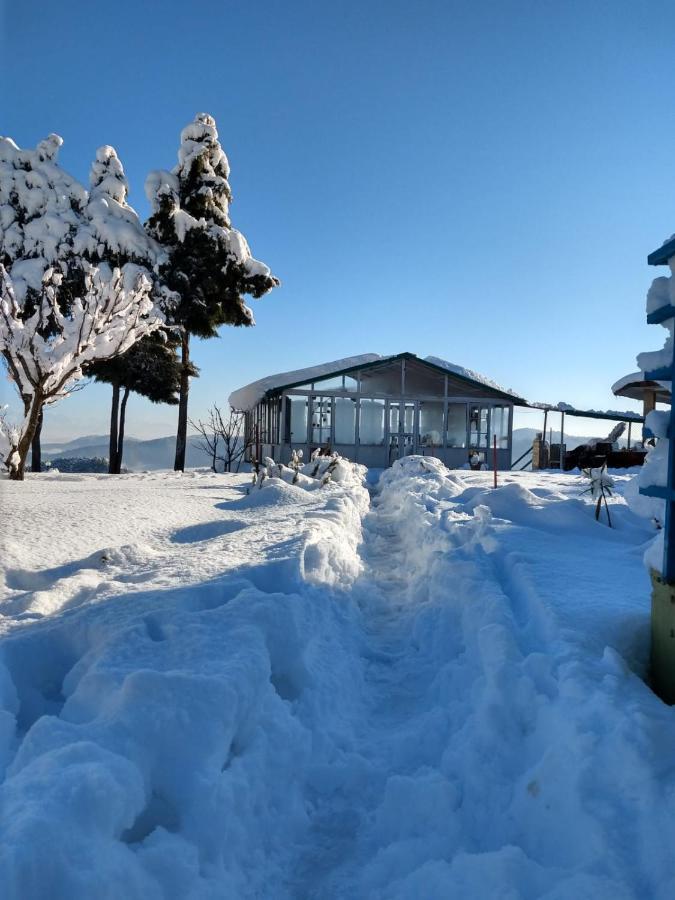 Chirping Orchard, Mukteshwar Bed and Breakfast Εξωτερικό φωτογραφία