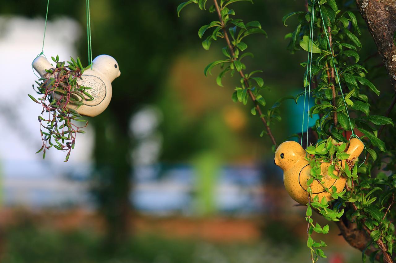 Chirping Orchard, Mukteshwar Bed and Breakfast Εξωτερικό φωτογραφία